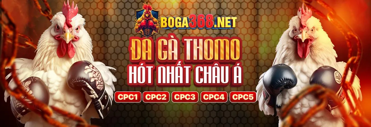 Lợi ích khi đăng ký tài khoản Fabet 2026